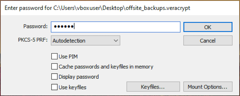 Entering the password for an encrypted VeraCrypt container.