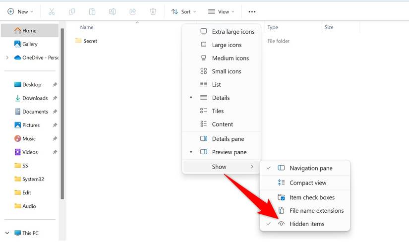 View > Show > Hidden Items highlighted in File Explorer.