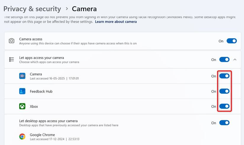 Toggles for camera access highlighted in Windows 11 Settings.