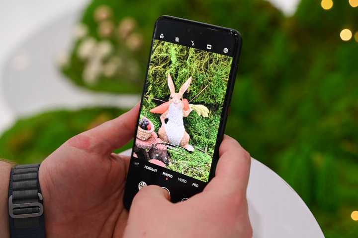 Person taking a portrait photo of a bunny with the Huawei Mate60.
