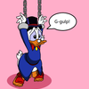 User Display Picture