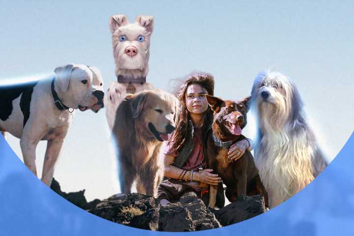 A group of dogs from different films posing together outdoors, with a young woman kneeling and hugging one of them, under a clear blue sky.