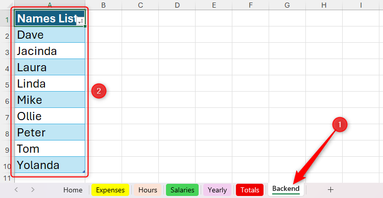 A list of names in a table in a Backend worksheet in Microsoft Excel is sorted into alphabetical order.
