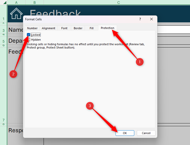 All cells are selected in an Excel workbook, and Locked is checked in the Protection tab of the Format Cells dialog box.