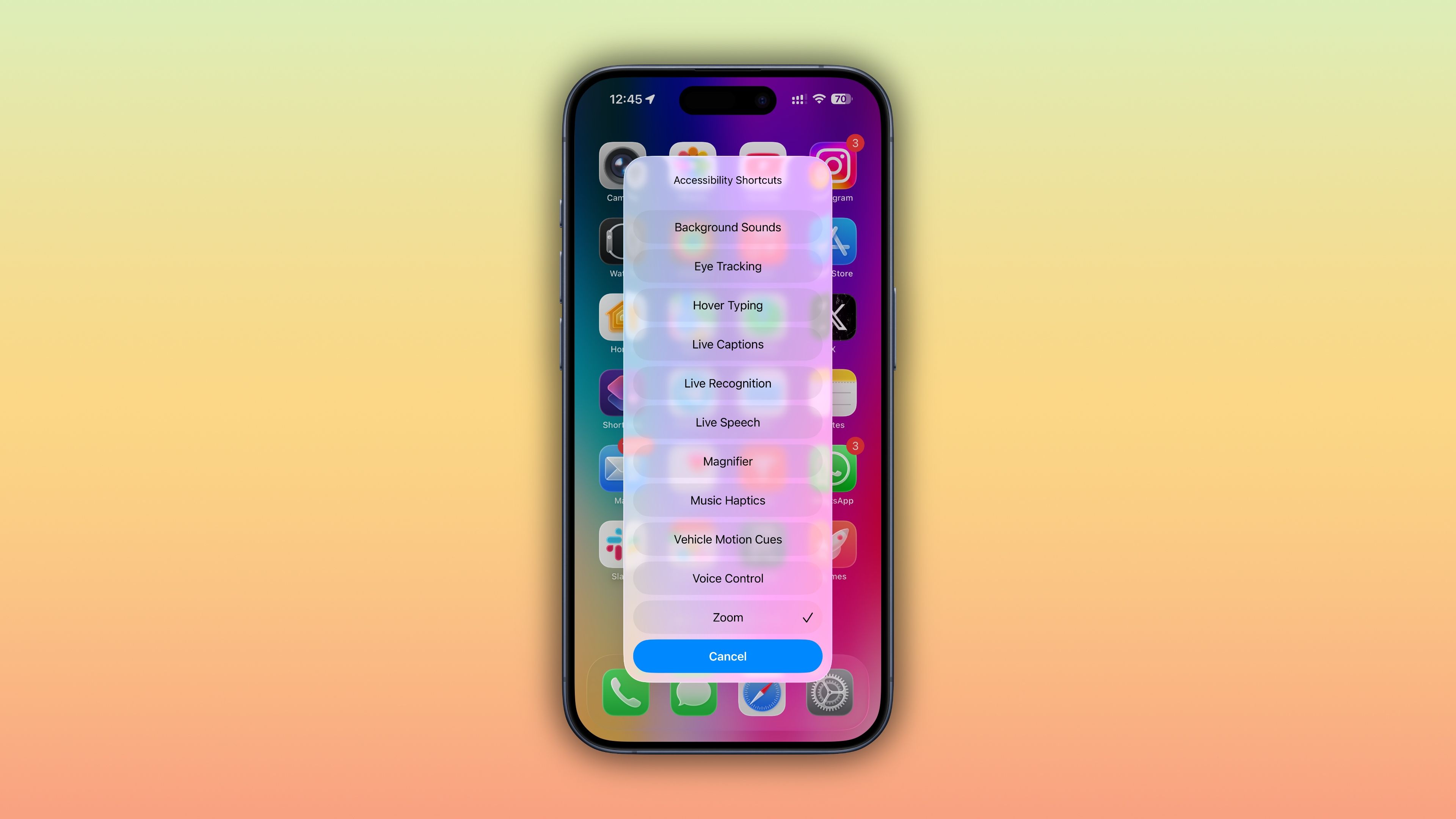 iPhone with the Accessibility Shortcut menu on top of the Home Screen.