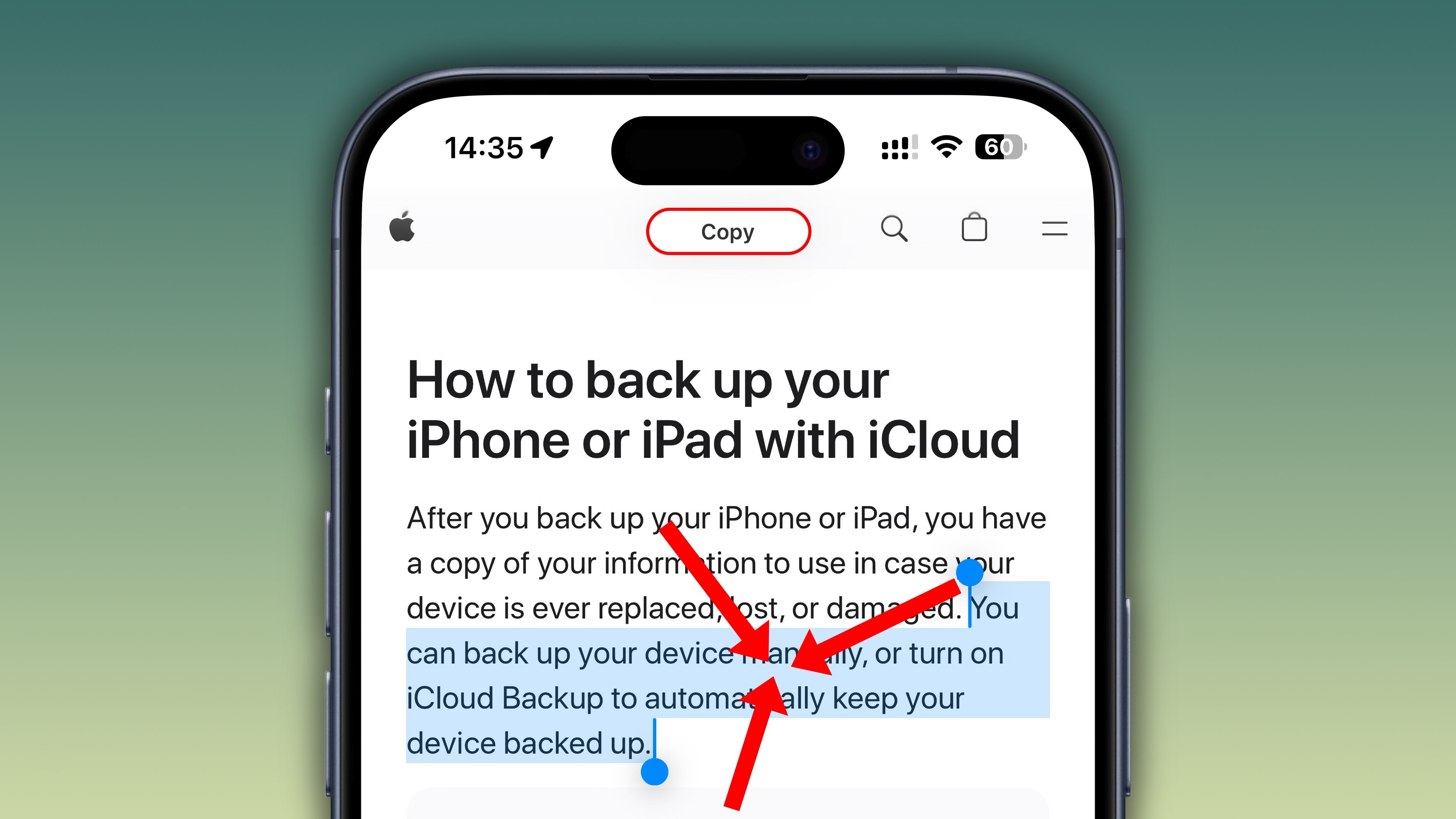 Safari on iPhone with some webpage text selected and a Copy banner displayed at the top, and three red arrow annotations suggesting pinching inward.