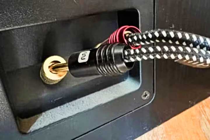 Banana plugs on speaker wire.