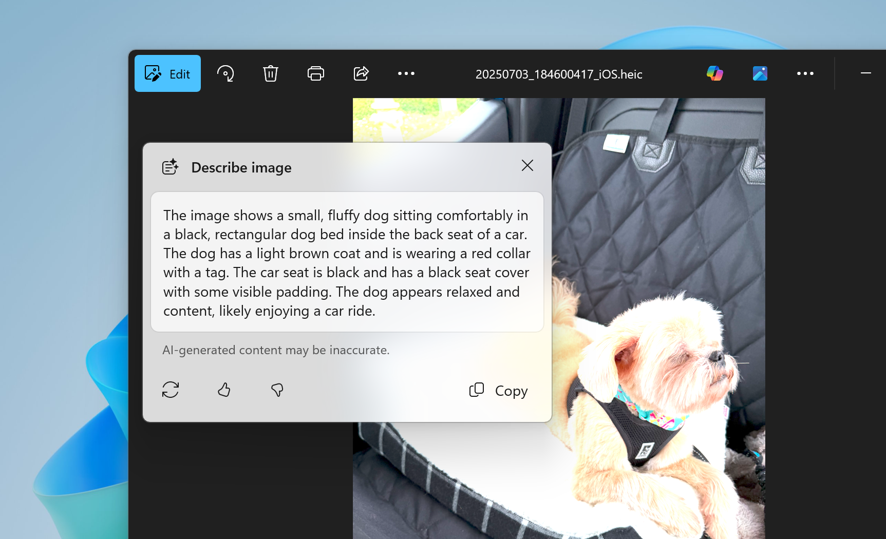 Windows Photos app describing an image of a dog.