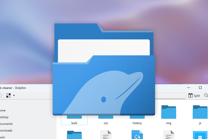 Dolphin icon with Windows app.