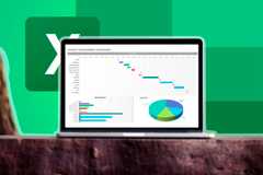 Excel project dashboard on a laptop.