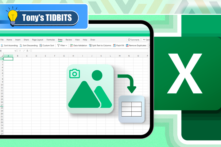 Excel spreadsheet with a screenshot icon and the Excel logo beside it.