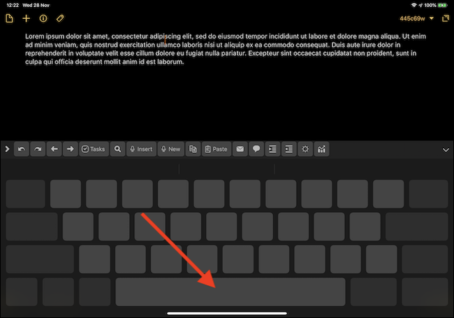 iPad keyboard trackpad mode.
