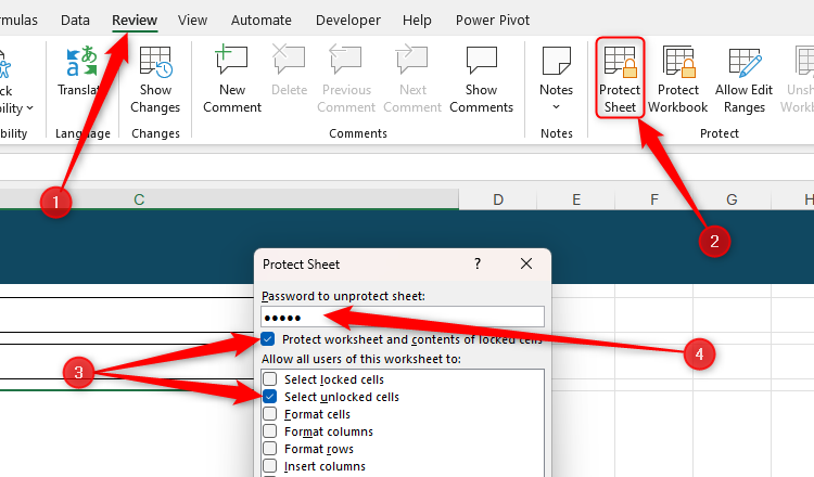 Protect Worksheet in the Review tab of Excel's ribbon is selected, two checkboxes in the Protect Sheet dialog box are checked, and a password is entered.
