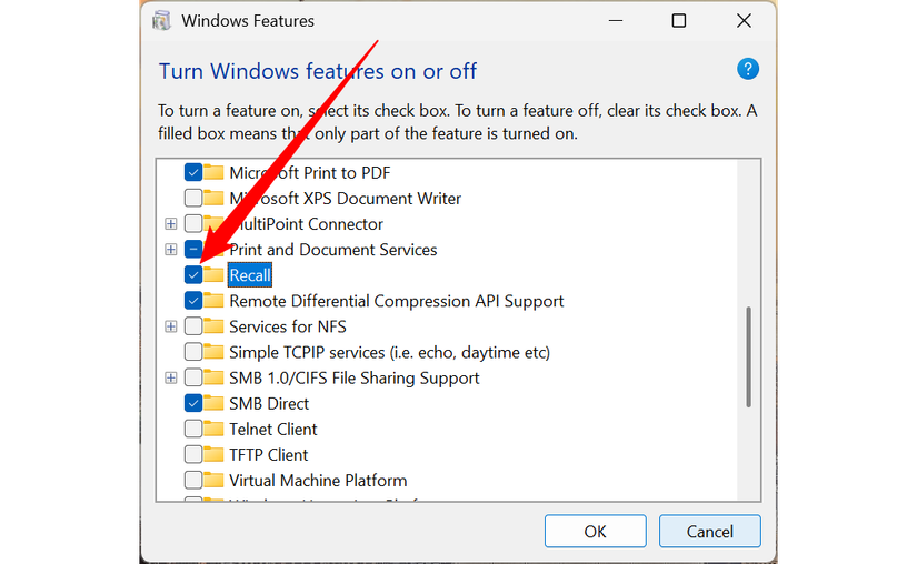 The option to disable Recall. 