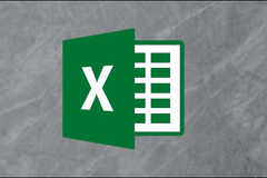 Excel Logo on a gray background