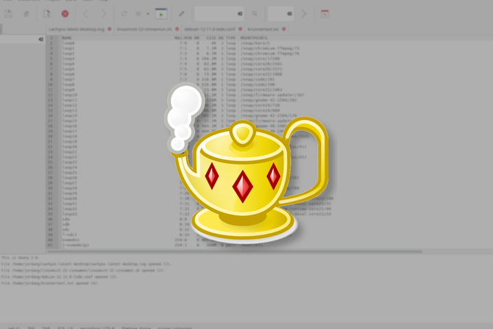 The Geany logo over a Geany IDE window.