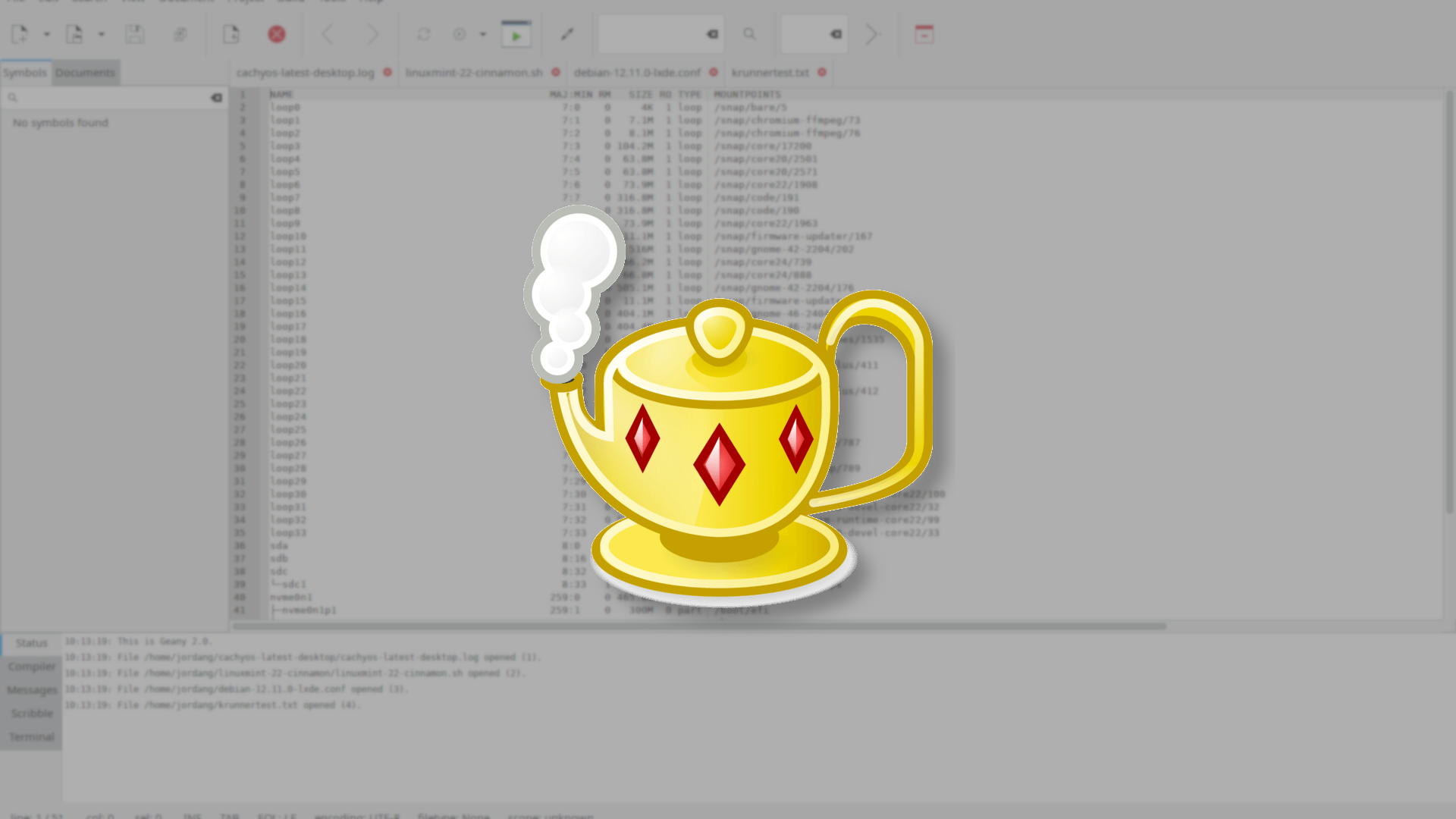 The Geany logo over a Geany IDE window.