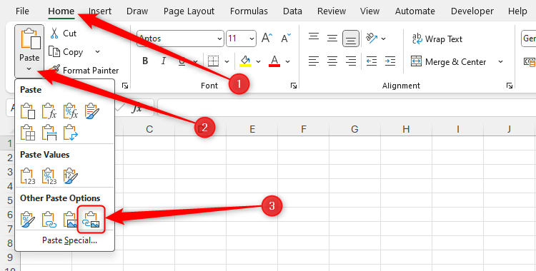 The Paste As Linked Picture Icon in Microsoft Excel.