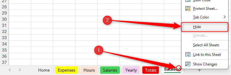 The right-click menu on an Excel worksheet tab is expanded, and Hide is selected.