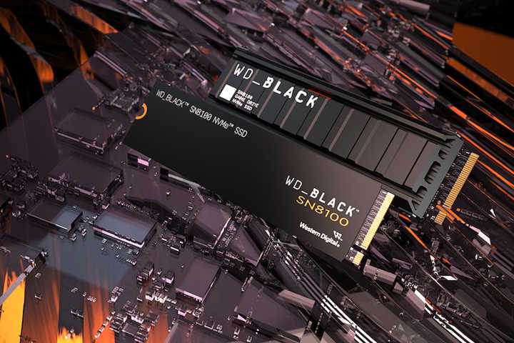 wd_black SN8100 version on a black chip-style background
