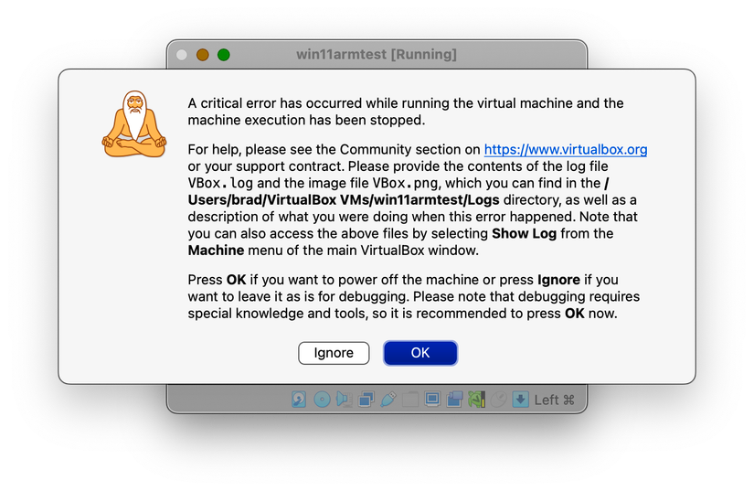 Windows 11 crashes immediately when booting in VirtualBox on Apple Silicon.