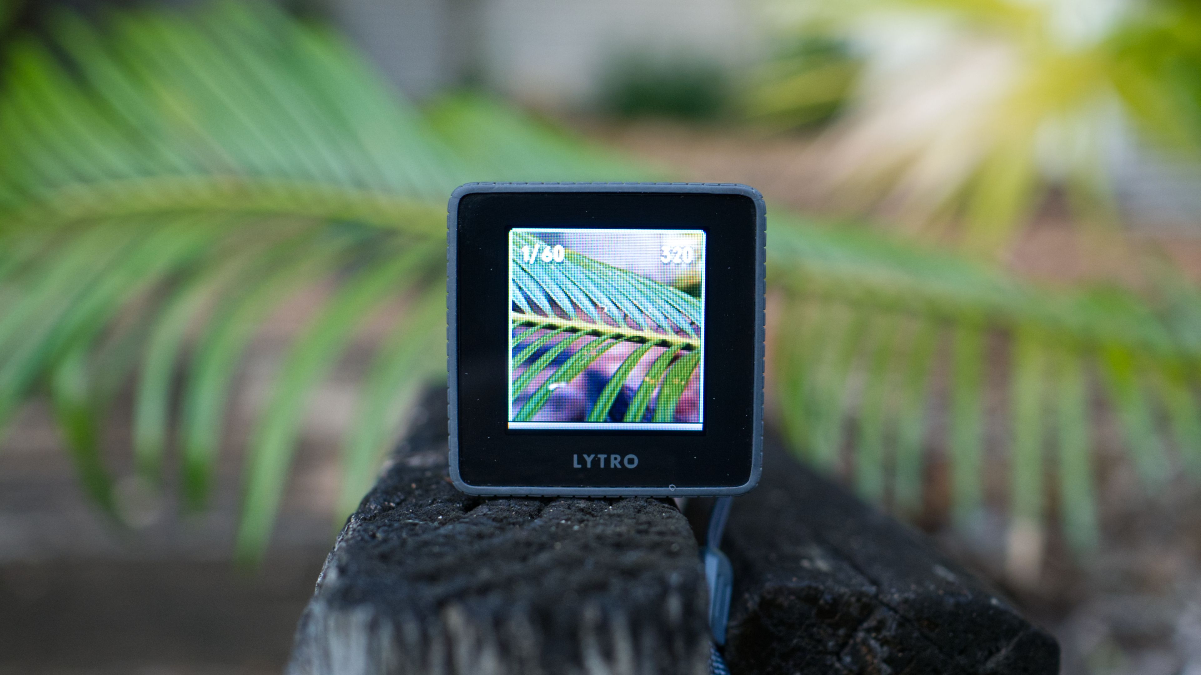 Lytro Camera focusing on a plant.