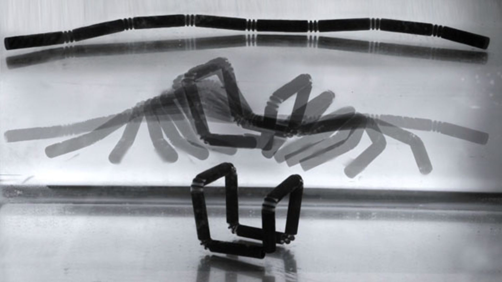 A self-assemblying 4D print from MIT in a tank of water.