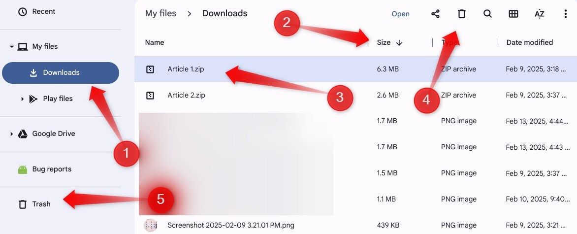 Deleting a file after sorting files by Size in the Downloads folder on a Chromebook and opening the Trash to clean it.