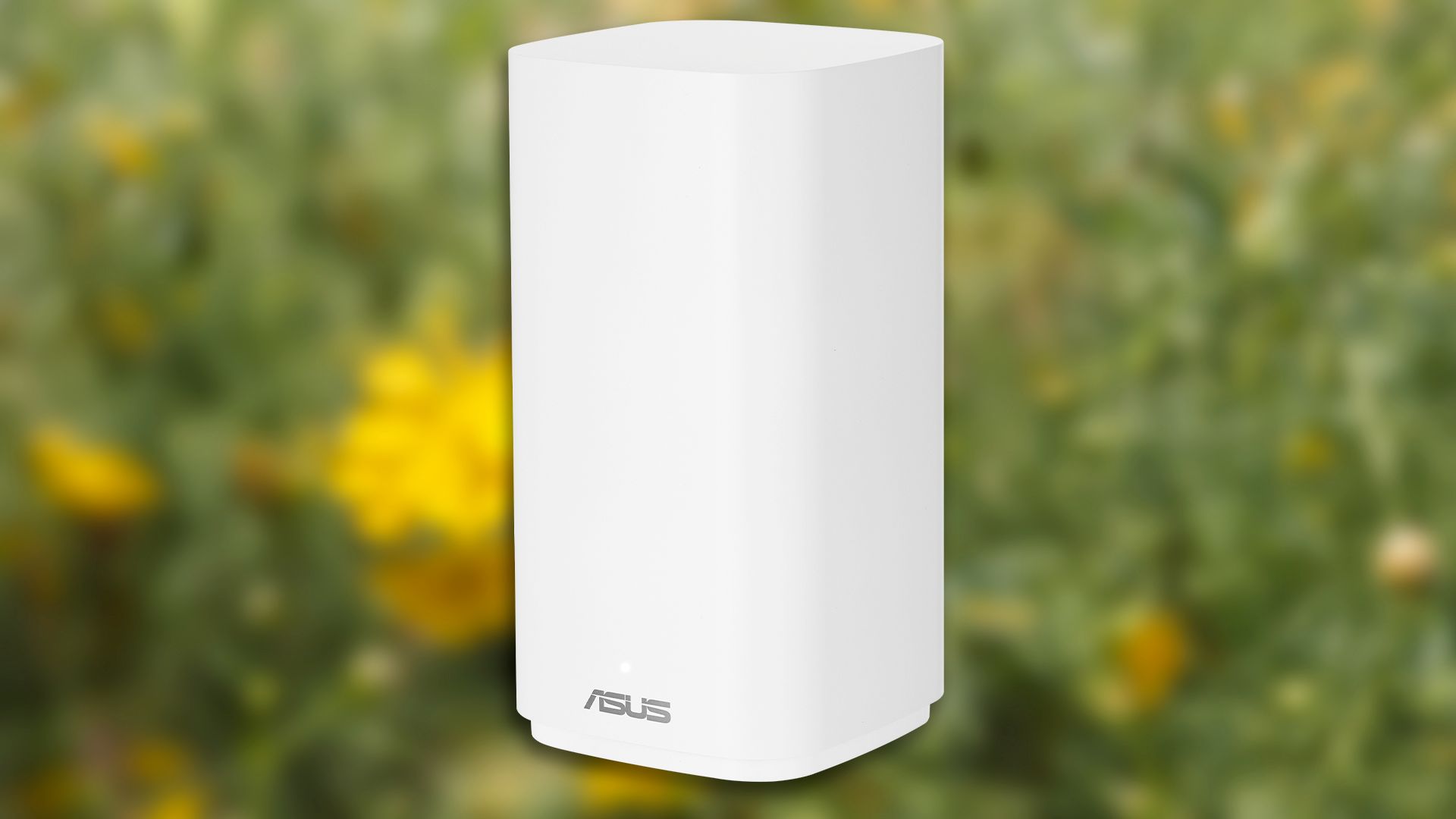 The ASUS ZenWifi BD4 Outdoor router over a photo of some plants.
