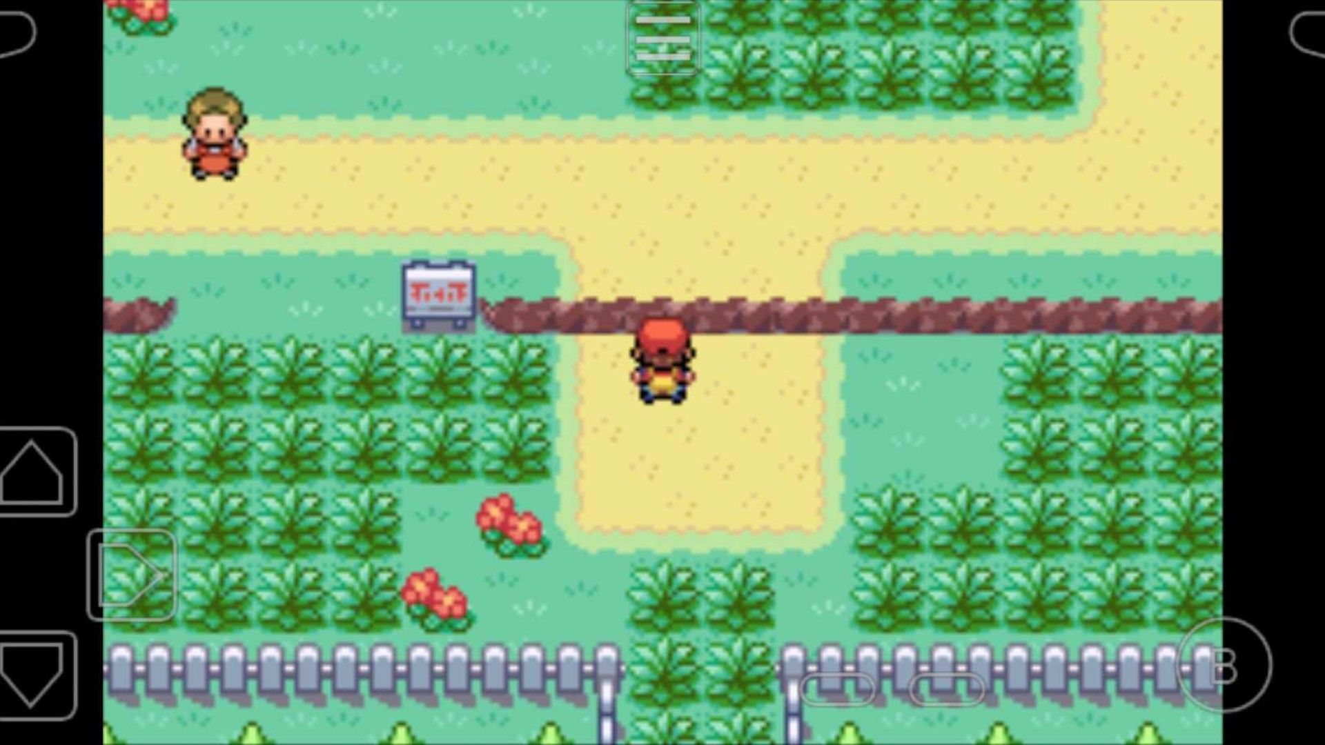 A player walking through a route in Pokemon Fire Red.