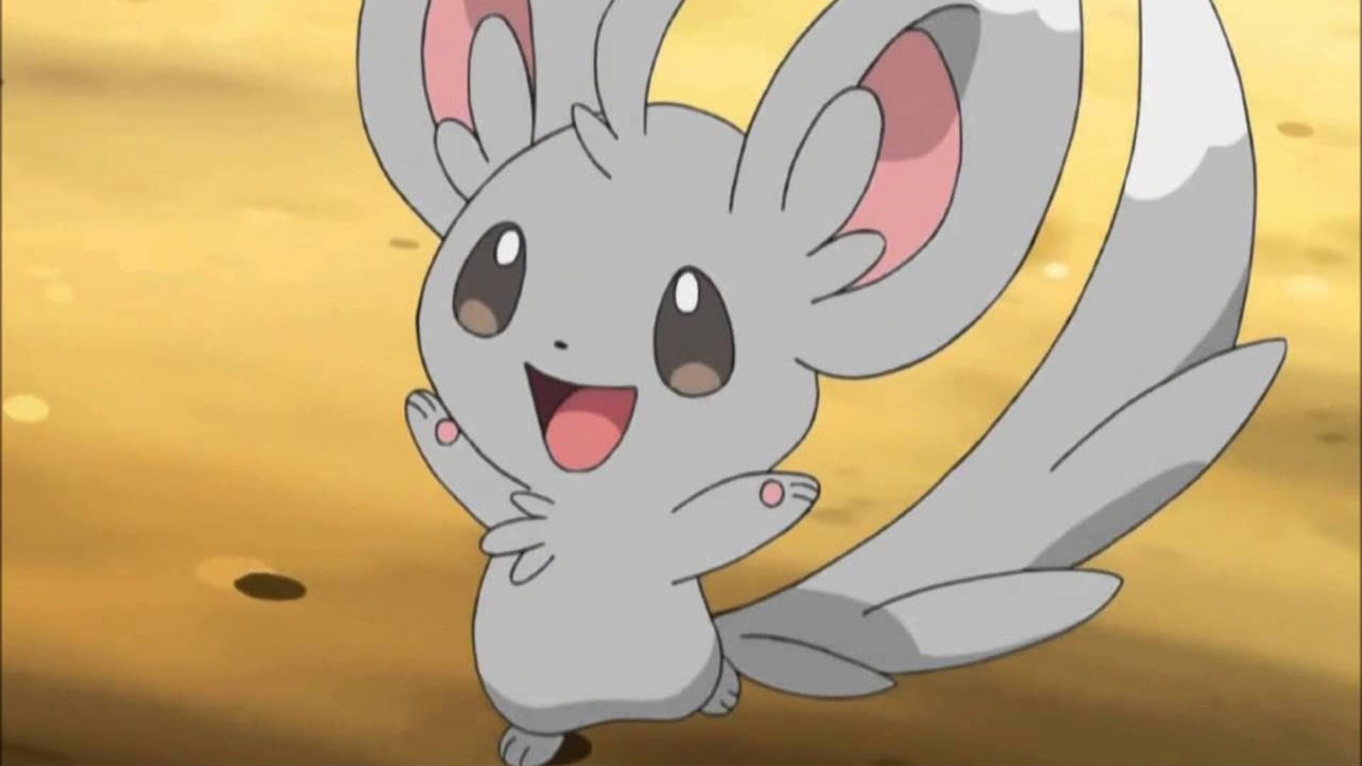 Minccino as it appears in the Pokémon anime series.