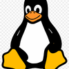User Display Picture