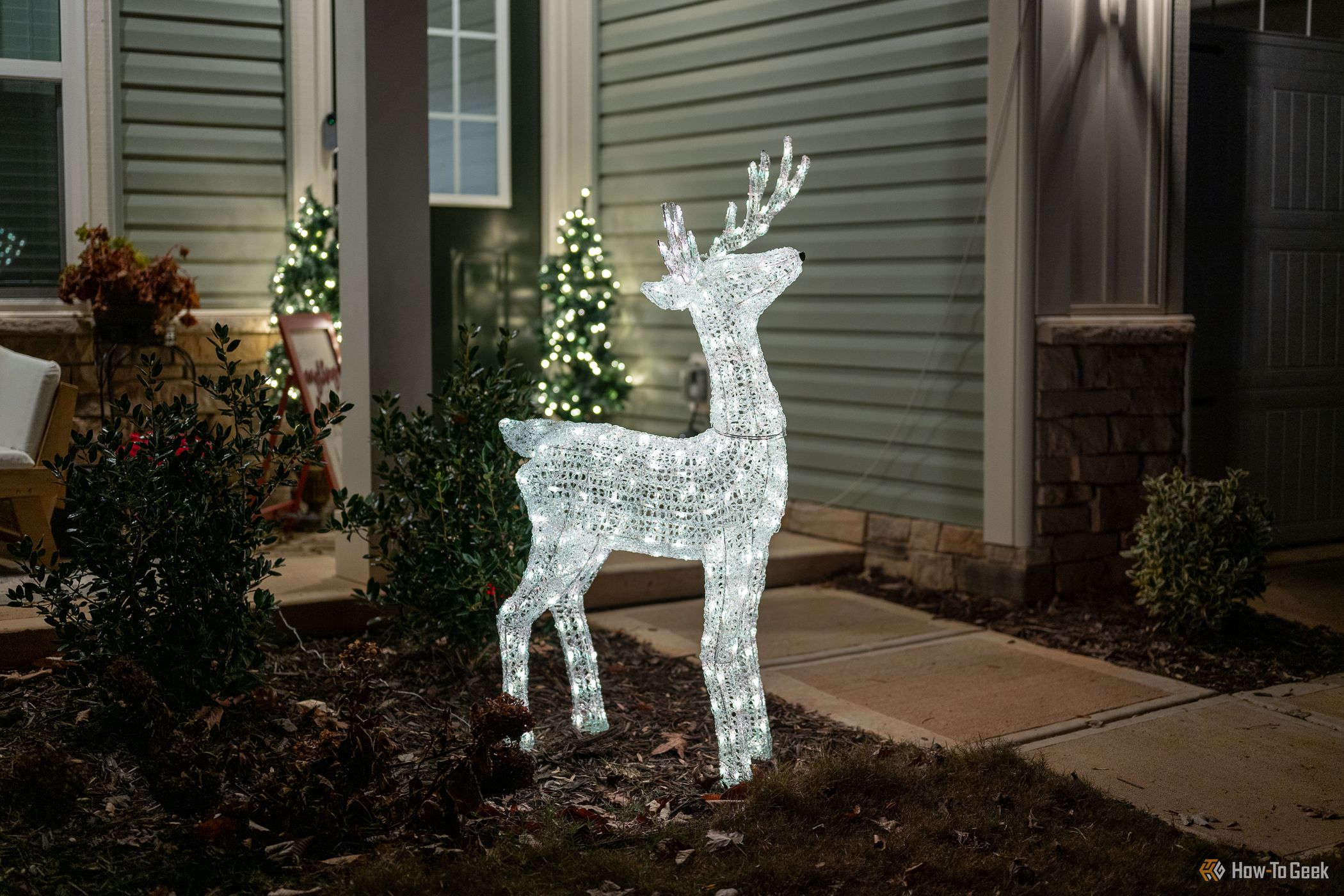 Twinkly Stag Reindeer lit up and on display outside at night.-1