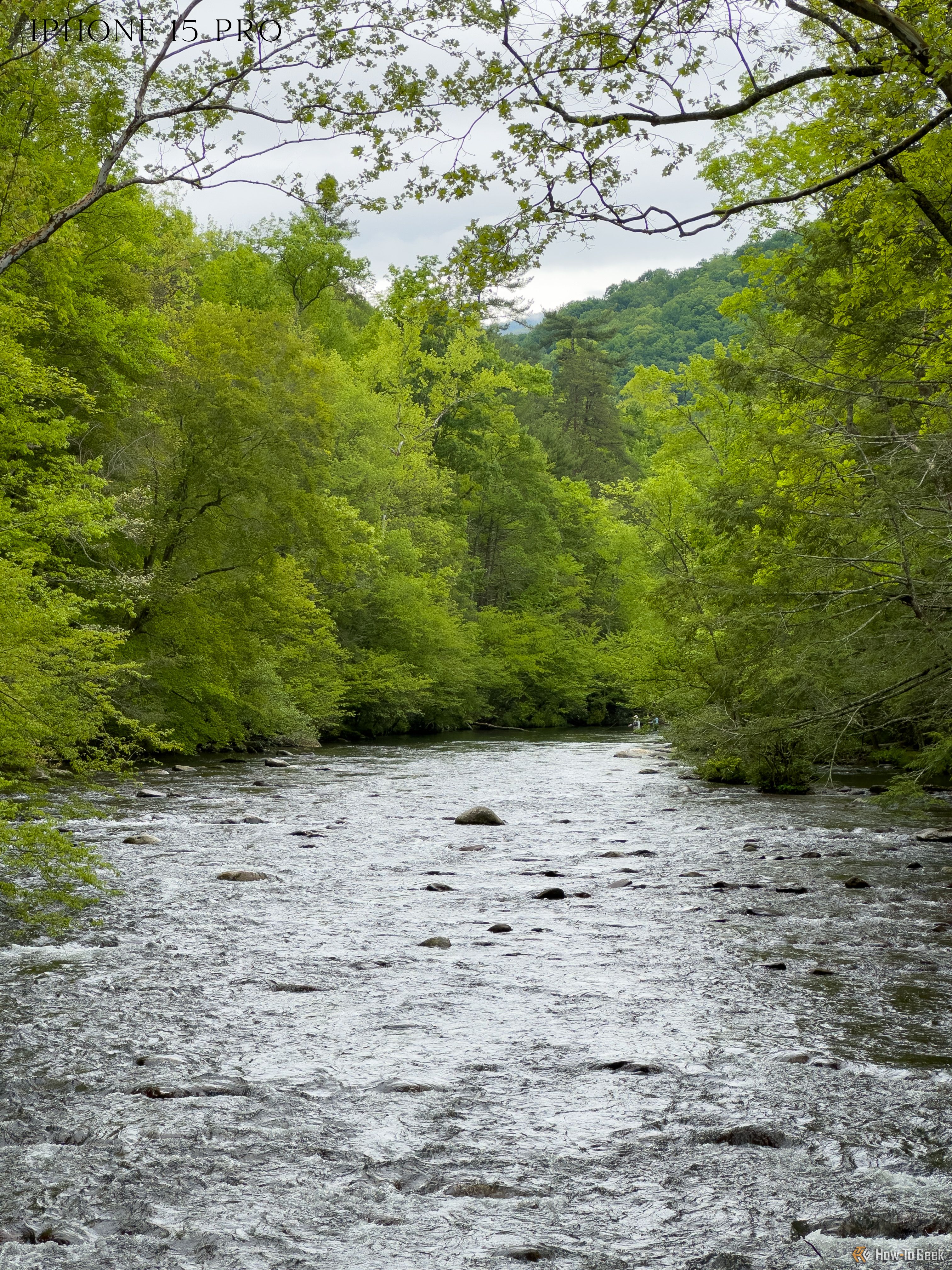 A rock in the middle of a flowing river surrounded by trees.