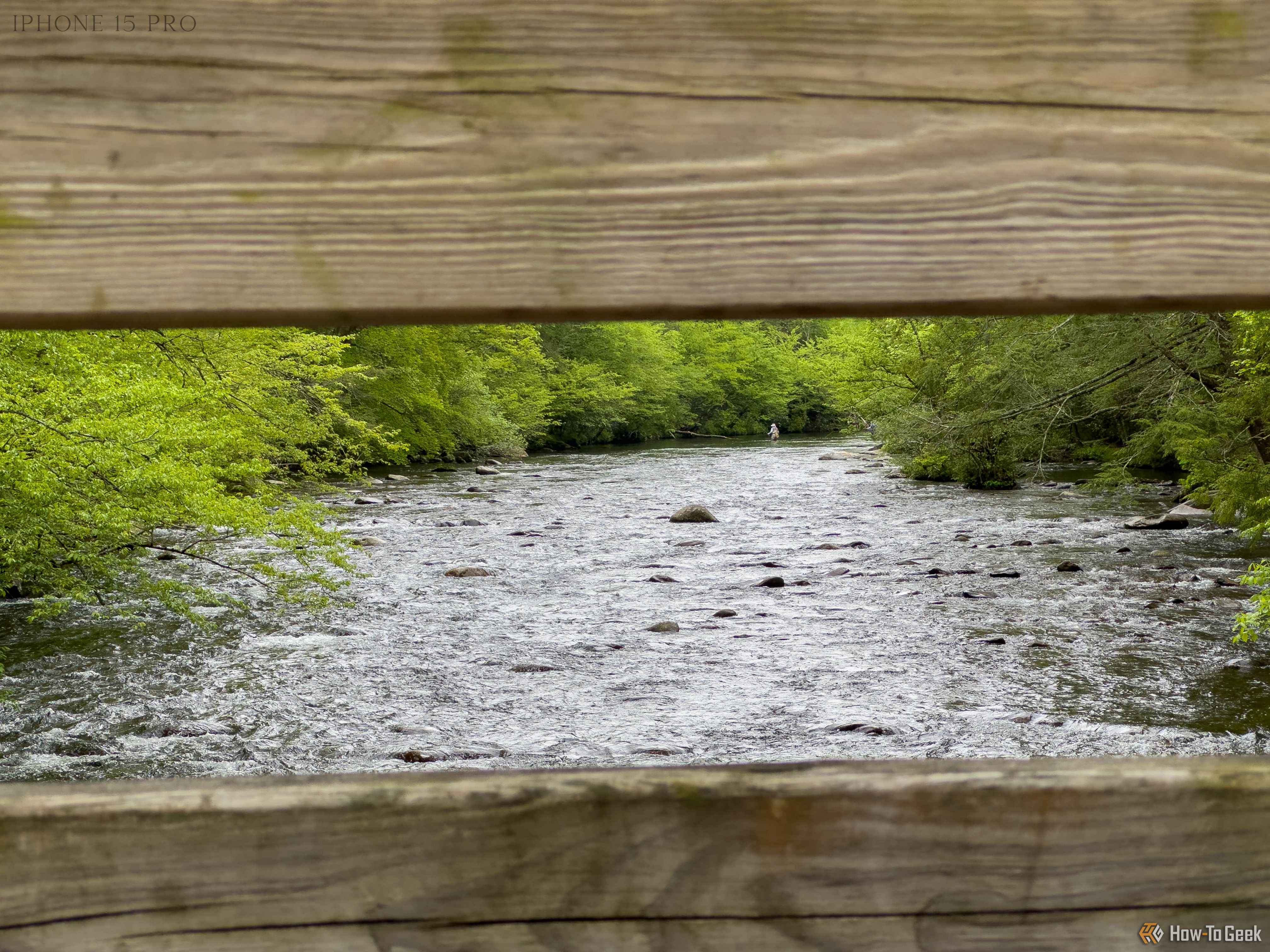 A rock in the middle of a stream surrounded by trees with wood in the foreground.