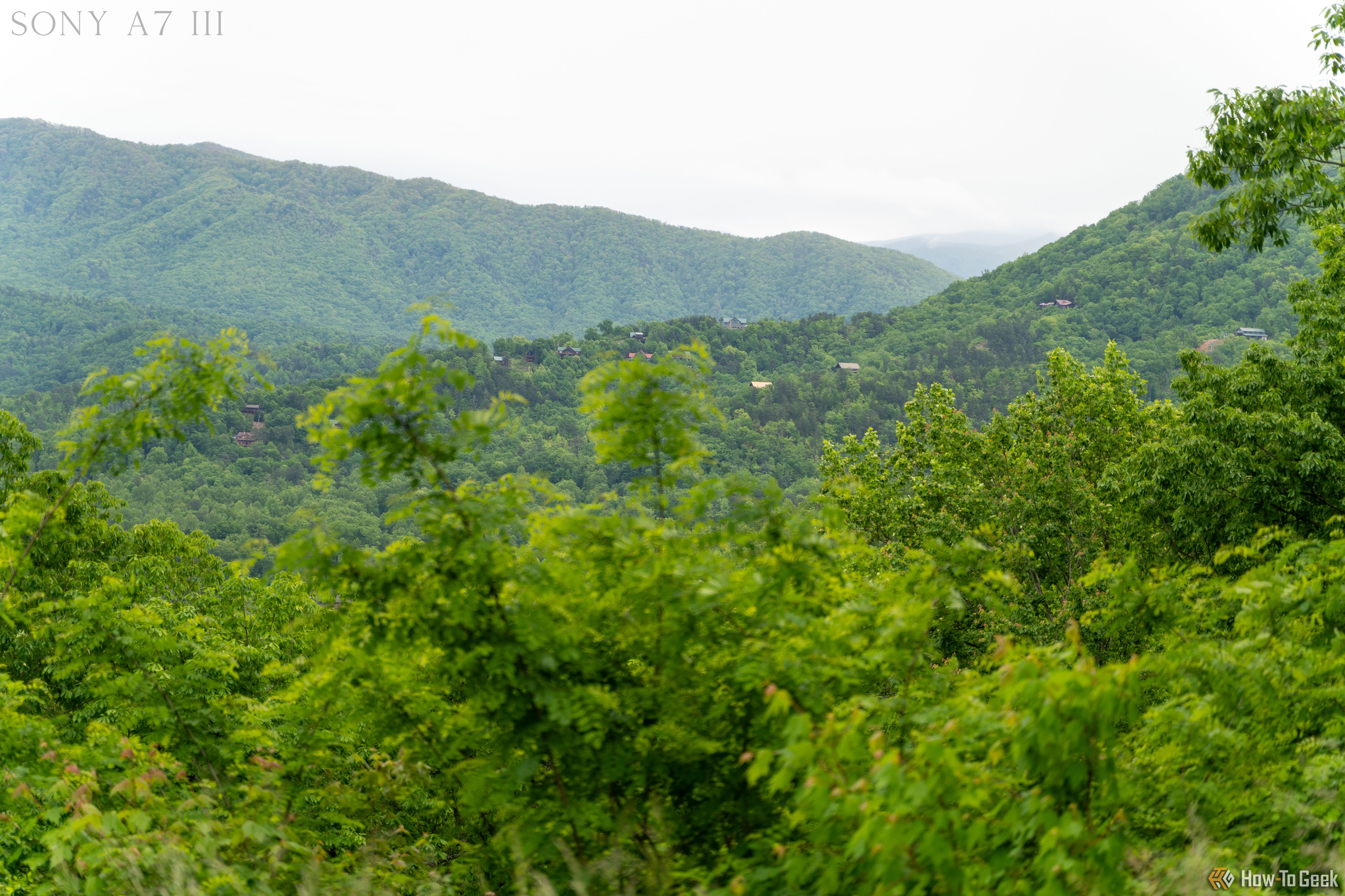Trees in the foreground with mountains in the background in the Great Smokey Mountains National Park.