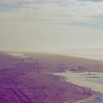 The Ultimate Guide to DNS on L...