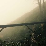I tried to ditch Google Photos...