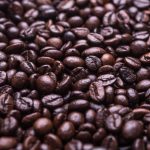 The beginner-friendly 14 your ...
