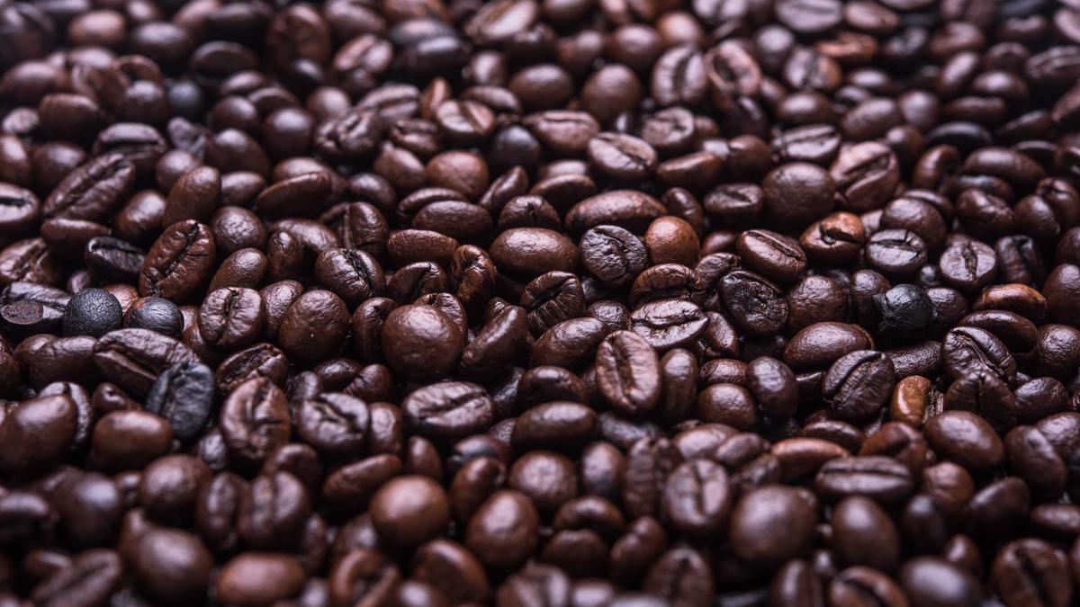 The beginner-friendly 14 your ...