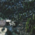 Rust vs VirtualBox: What’...