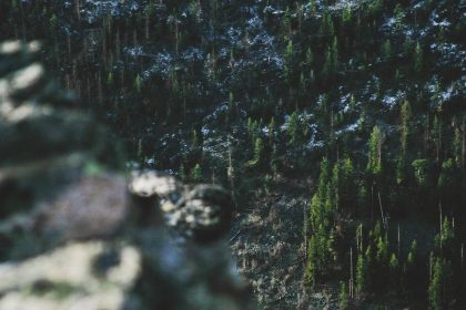 AI & Machine Learning