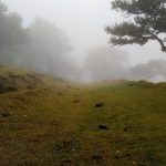 20 Hidden Linux 11 Features Th...